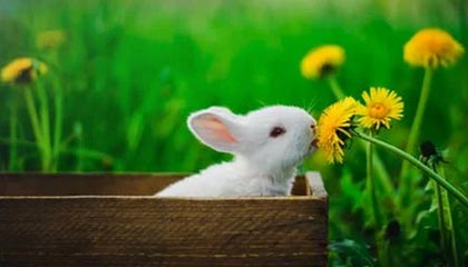 华体会hth登录地址-年轻车坛新星：梦想之路的辛酸与坚持