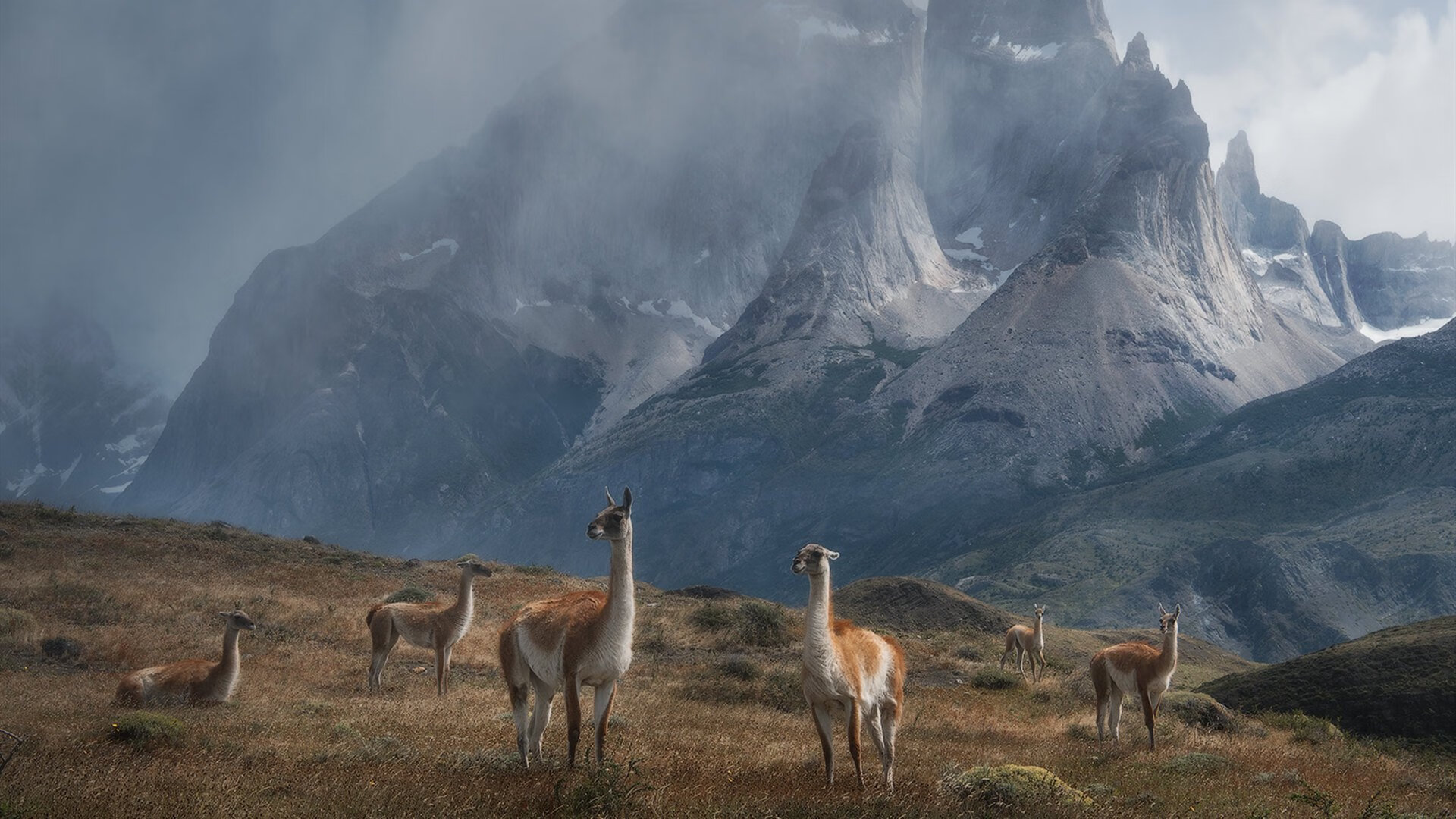 华体会登录最新地址-_火箭队状态逐渐回暖，士气提升_，火箭队的