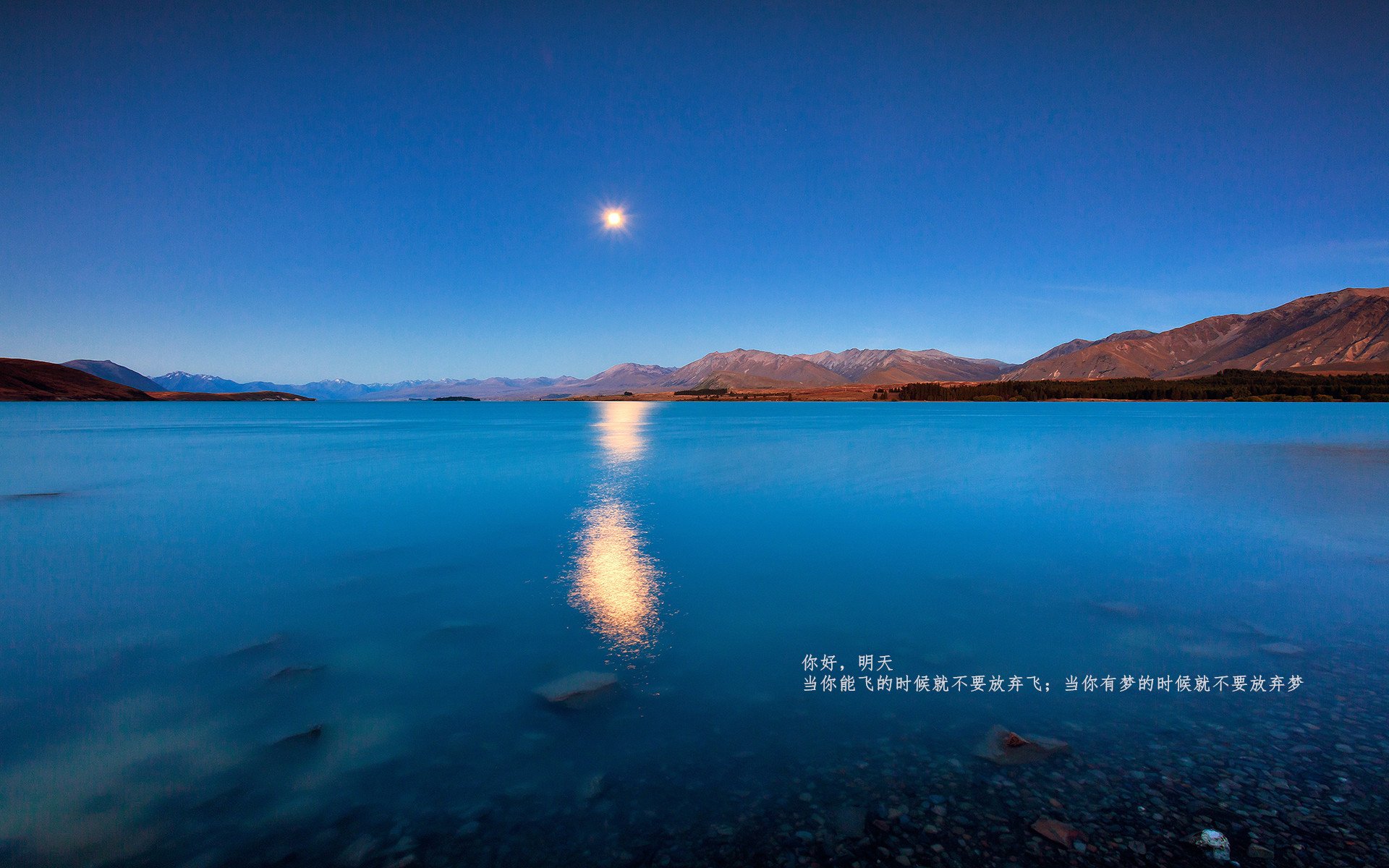 “逆境之光：最惊心动魄的翻盘战役回顾”，片名_逆境