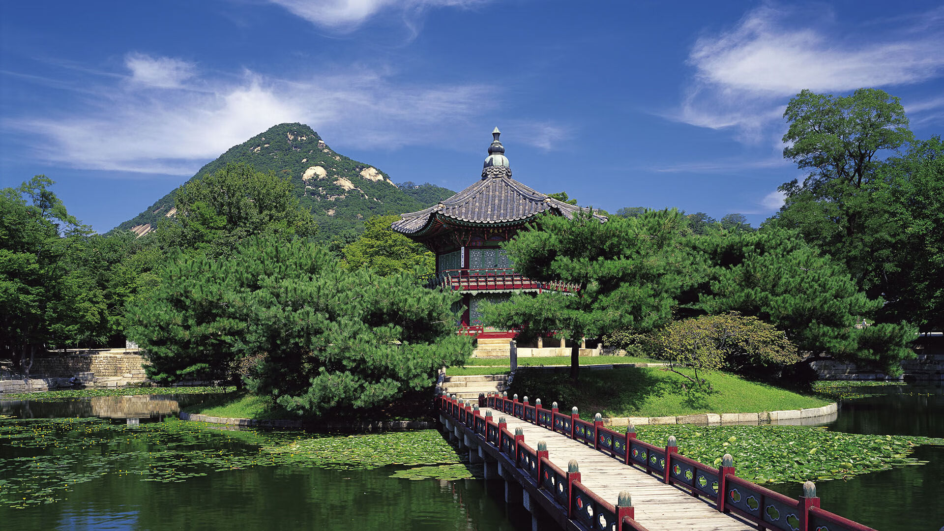 史上最“炸裂”的盖帽集，谁的防守最令人难忘？，盖帽厉害吗