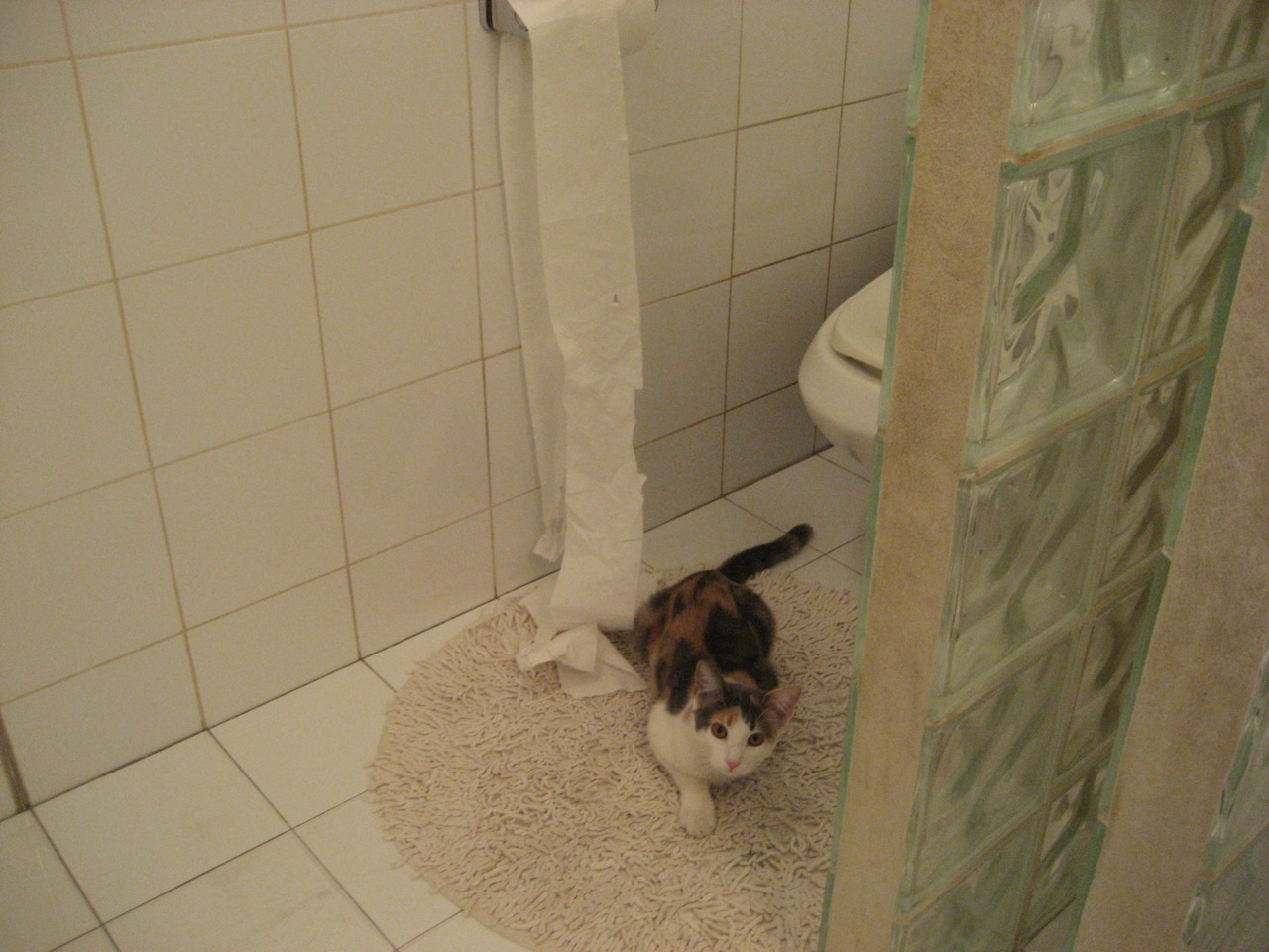 女子短跑接力再破亚洲纪录，刷新奥运希望，2021女子短跑