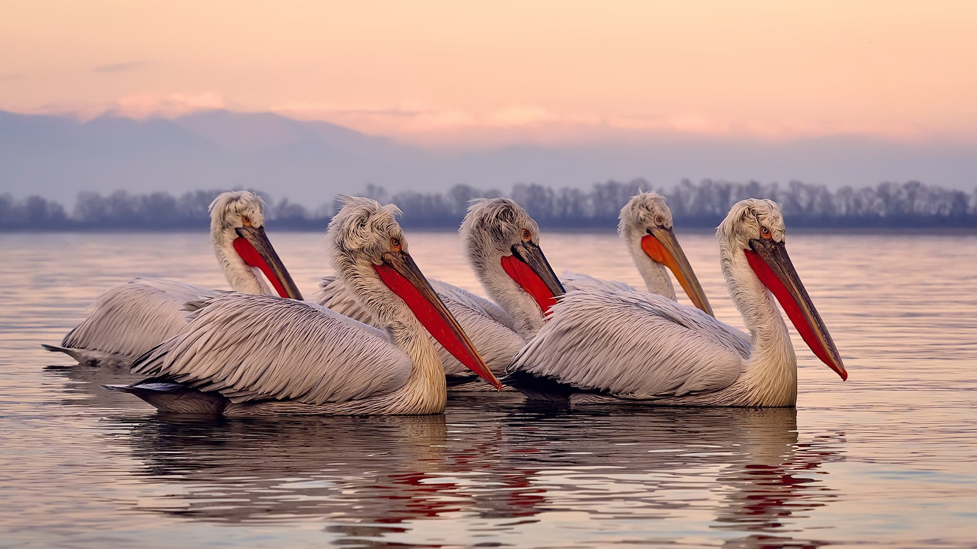 球场“铁血防线”:最难攻破的防守阵容盘点,铁血防守vs极致进攻