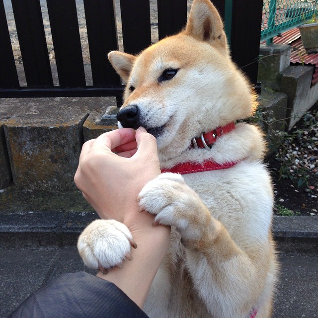 篮球教练员战术创新研讨会议深入开展,篮球教练员培训班发言稿