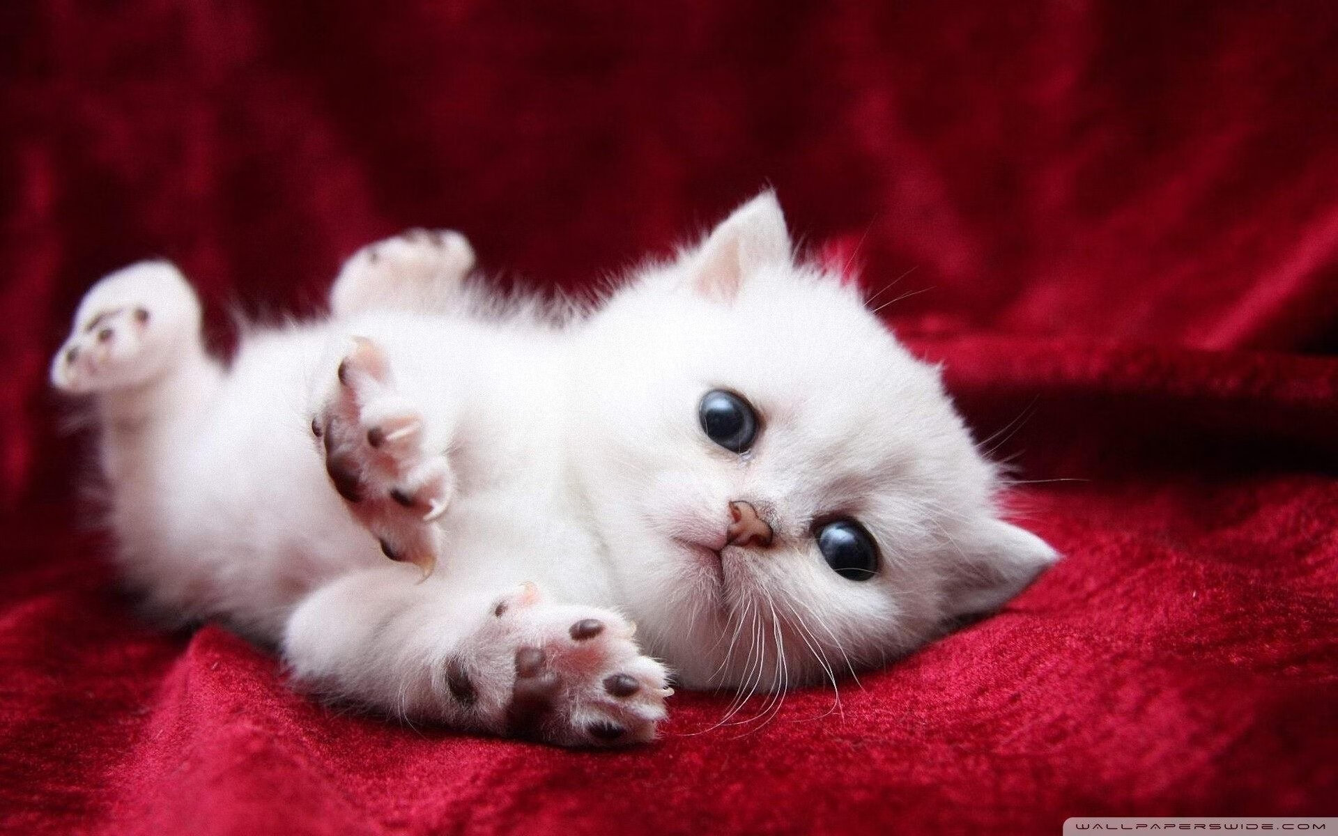 华体会hth登录-竞争格局：谁将成为2026年的赛场霸主？，竞争格局_谁将成为2026年的赛场霸主呢