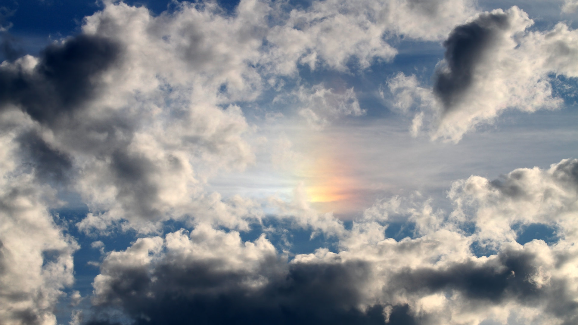 荷兰马术队在巴黎奥运会障碍赛团体决赛中获得第五名,展现强大实力。