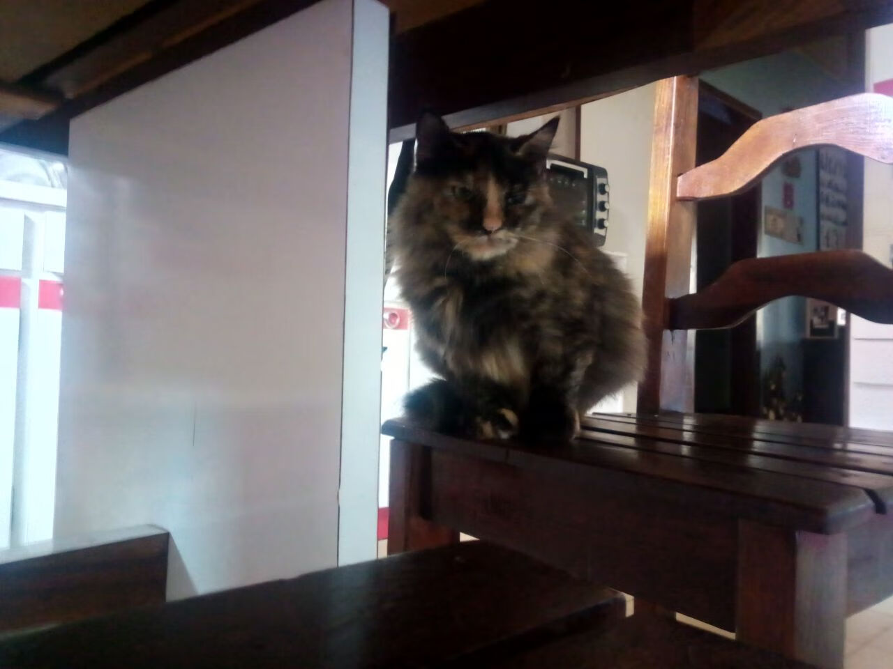 马赛中场指挥官连续多场精彩发挥，马赛主场死忠看台