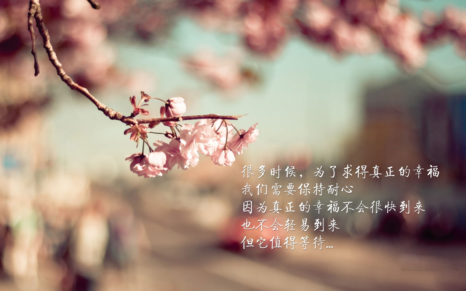 PSG.LGD教练团队策略调整,lgd教练nice