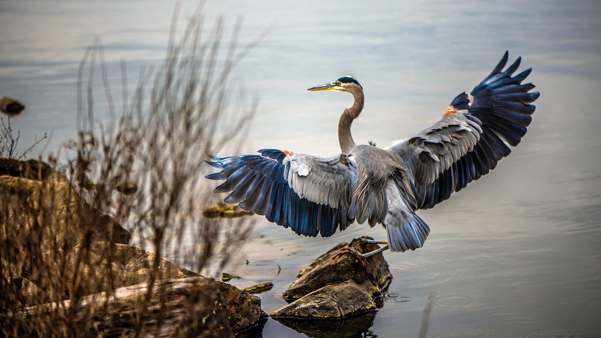 中国篮球运动员纪律管理,目前我国篮球运动员管理存在的弊端有哪些