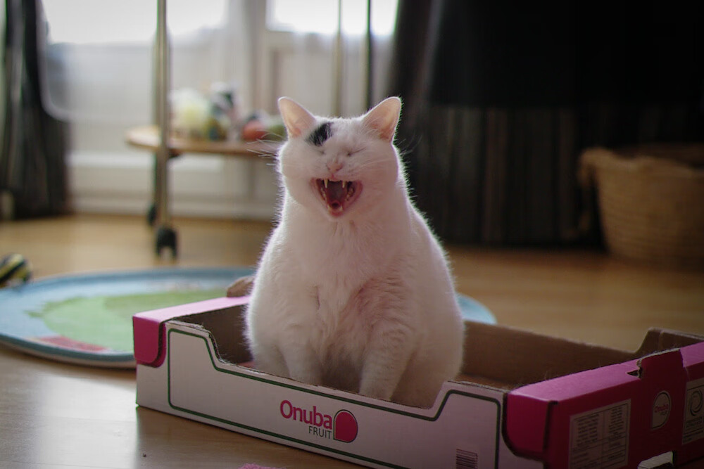 各地出台广场舞管理条例，各地出台广场舞管理条例规定