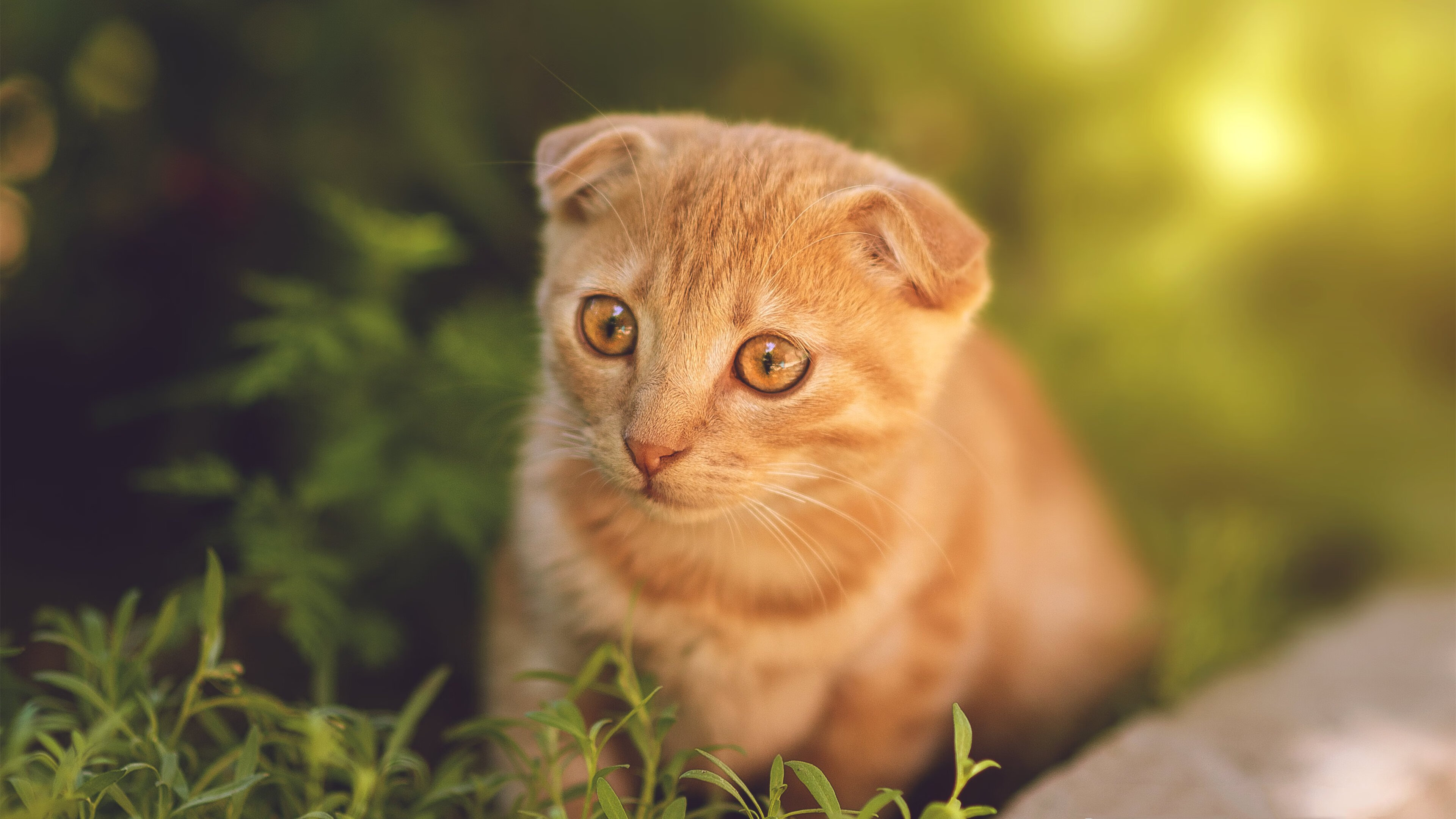 尤文图斯客场-力克米兰，克里斯蒂亚诺进球，尤文图斯vs克罗托内回放
