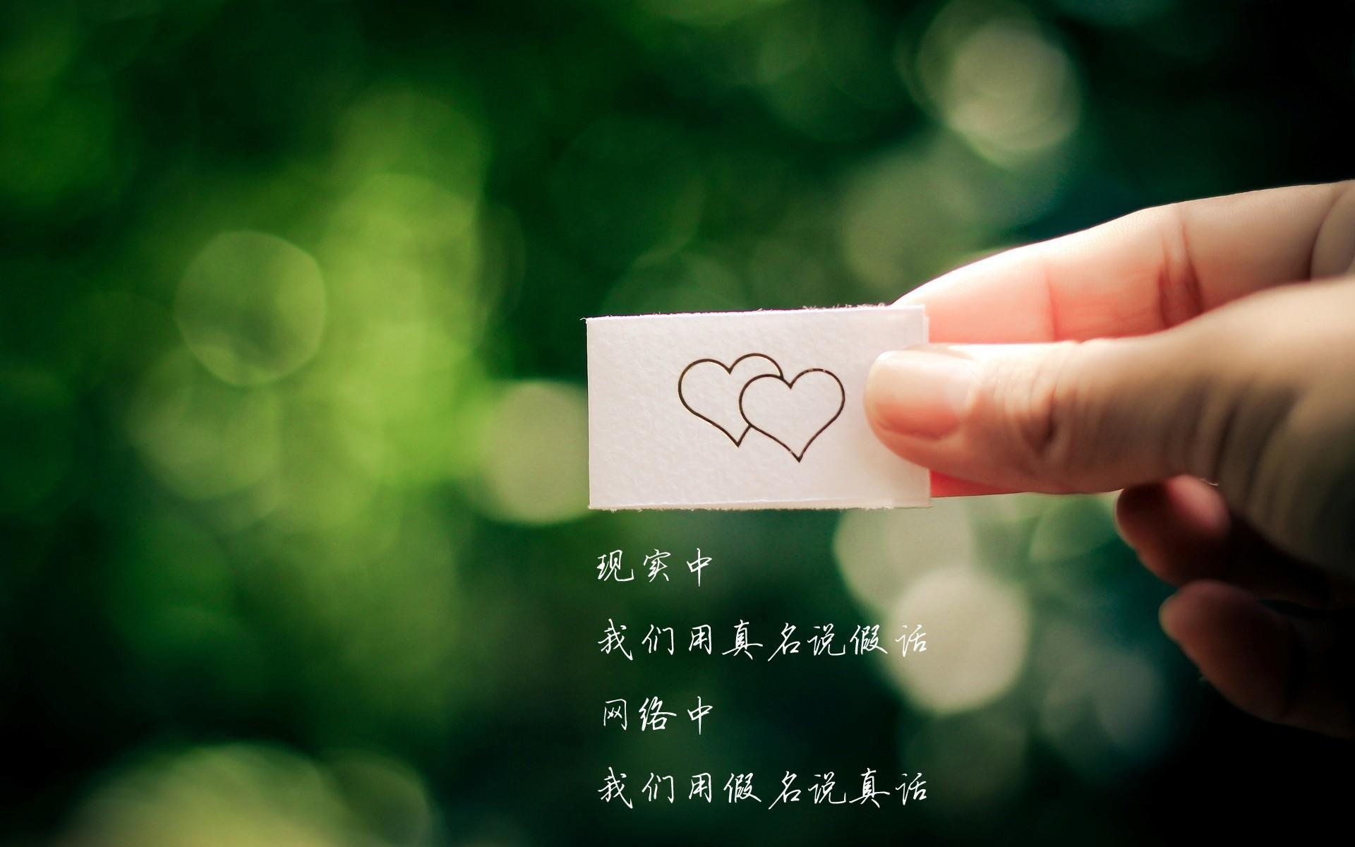 华体会hth-莱切斯特城主场胜利，继续向前迈进，莱切斯特城战绩