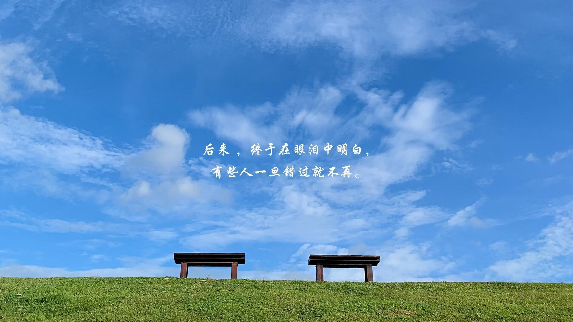 赛场风云变幻,强队对决引人期待,赛场风云txt