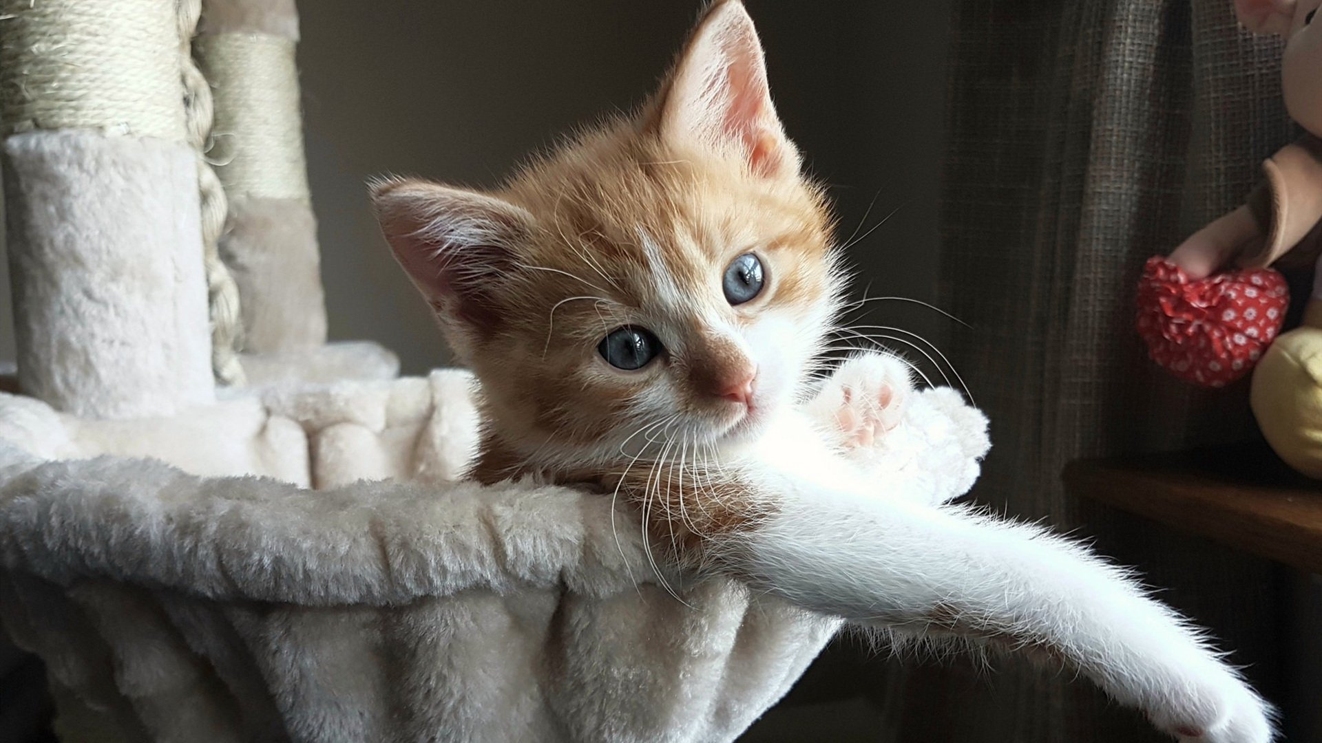 体育教师培训课程标准体系设计与执行情况调研，体育教师培训目标