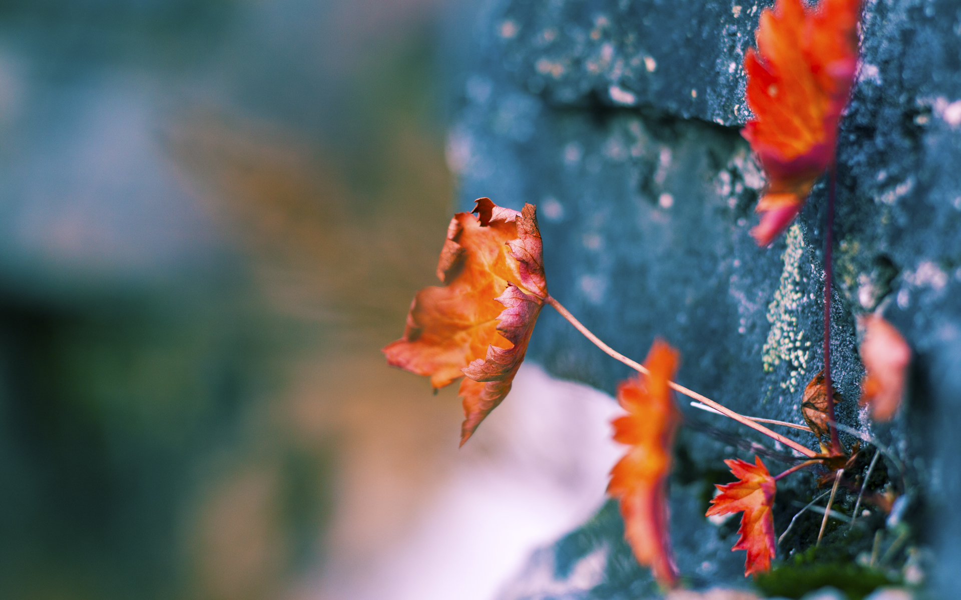 意甲球队应用动态热图分析防守强度与控球区分布重合度，意甲防守反击