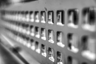 华体会官方网站首页-青少年运动损伤预防技术及实践研究，青少年运动损伤预防技术及实践研究论文