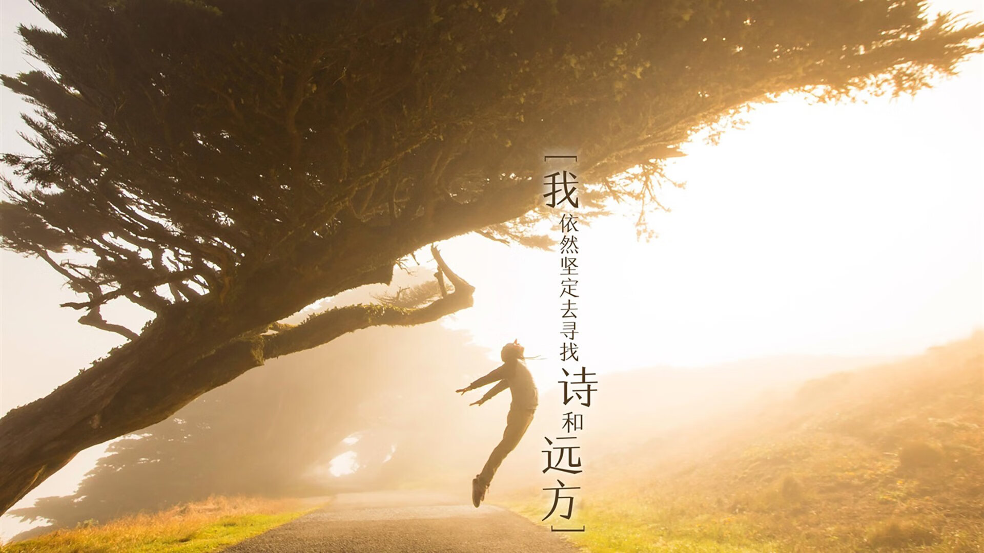 华体会hth官网入口-世界杯精彩全场：每一秒都精彩！，世界杯最精彩的一场比赛视频