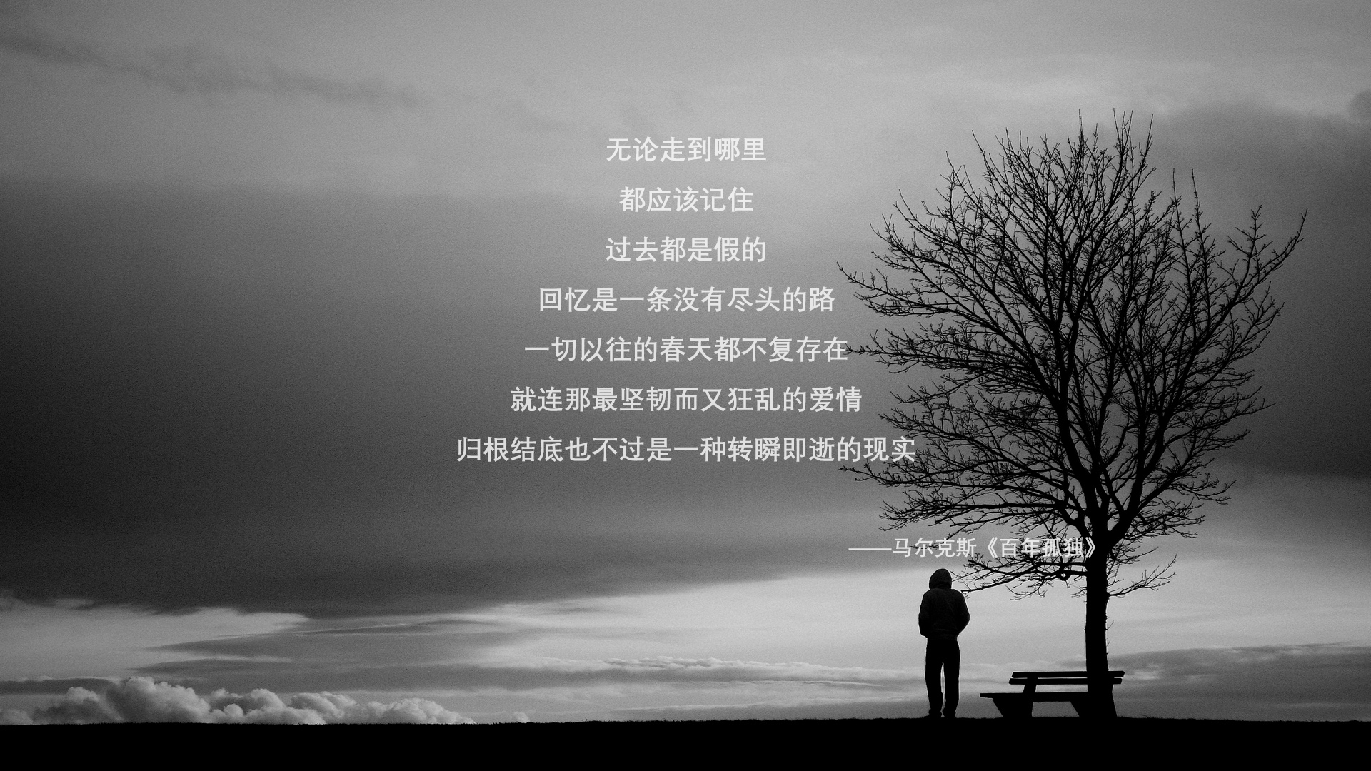 世界杯赛事中的环境保护倡议，世界杯环保日是每年几月几日