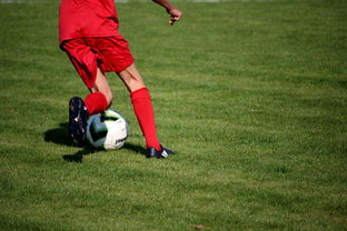 华体会手机网站-中国足球职业俱乐部推动管理层岗位轮训制度，职业足球俱乐部训练计划