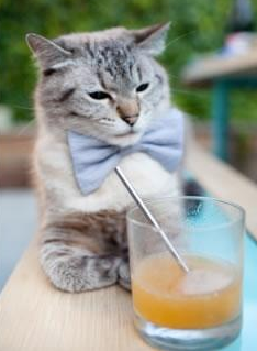 中国足球青少年足球赛事安全保障措施完善，青少年足球比赛