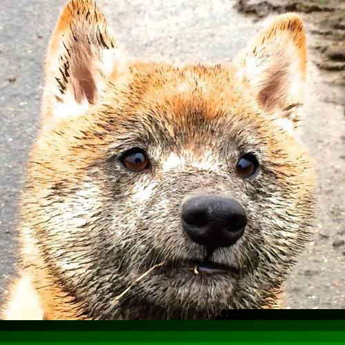 欧洲杯绝妙瞬间：战术配合与精彩射门层出不穷，欧洲杯 respect