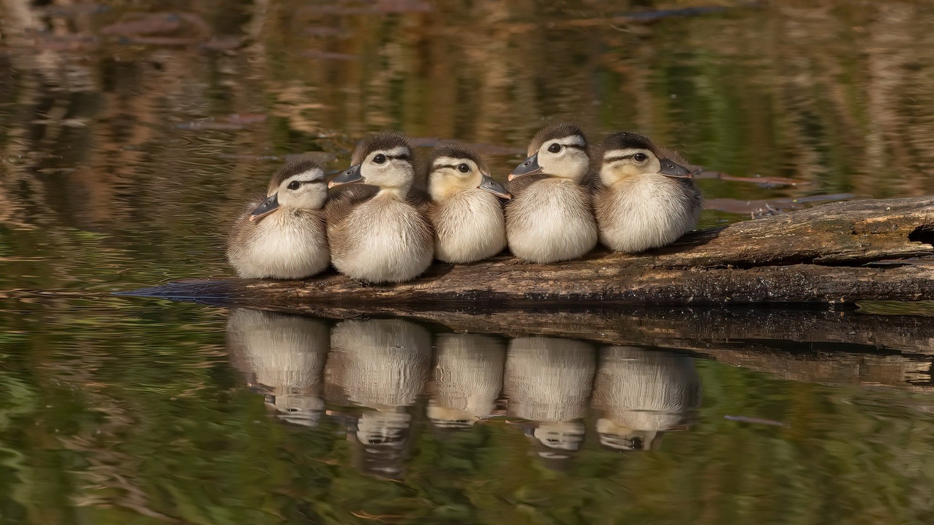 欧洲杯激烈对抗：战术变换引领新潮流！，欧洲杯对抗表
