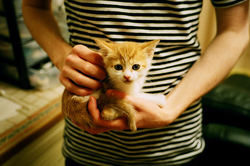 热刺力克对手,孙兴慜获全场最佳