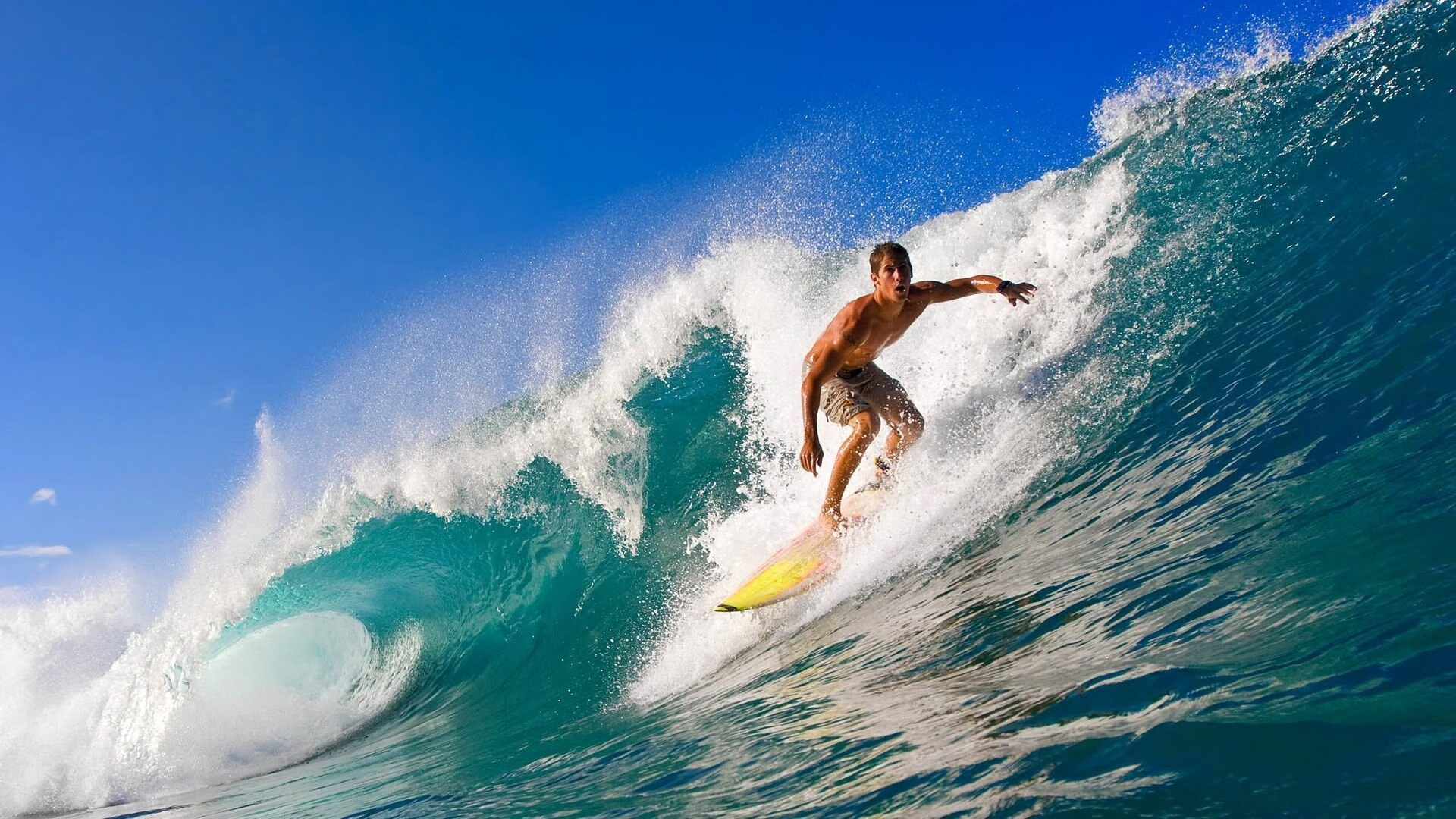 hth官网-“团队无敌：幕后英雄的坚韧守护”，团队竞技的无敌点