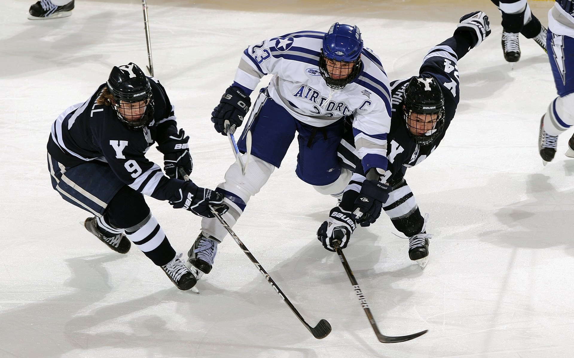 追梦之旅:当红新星的成长时光,2021追梦之旅